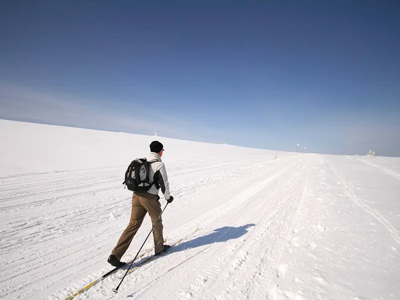 Cross-country skis